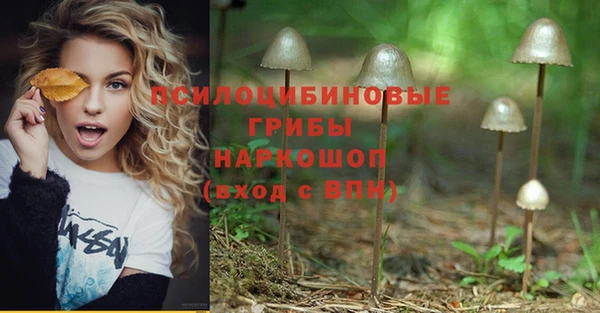 метадон Алексеевка