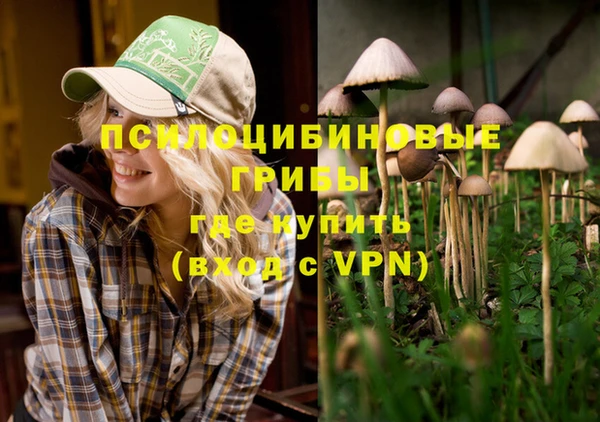 метадон Алексеевка