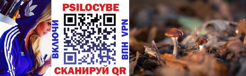 Псилоцибиновые грибы GOLDEN TEACHER  наркотики  blacksprut зеркало  Лениногорск 