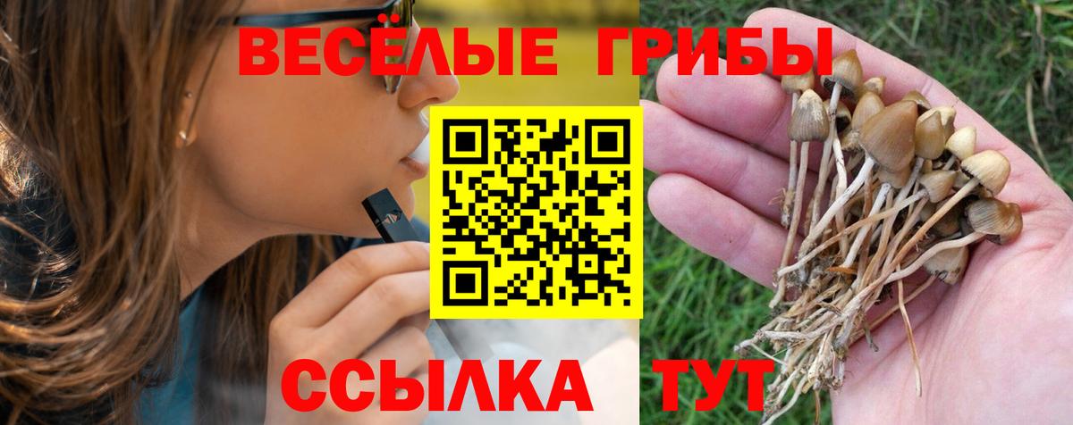 Галлюциногенные грибы Magic Shrooms  Вход с VPN  Лениногорск 